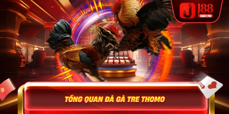 Tổng quan đá gà tre Thomo
